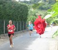 IMG_0941