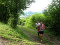 IMG_1004