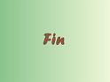 Fin